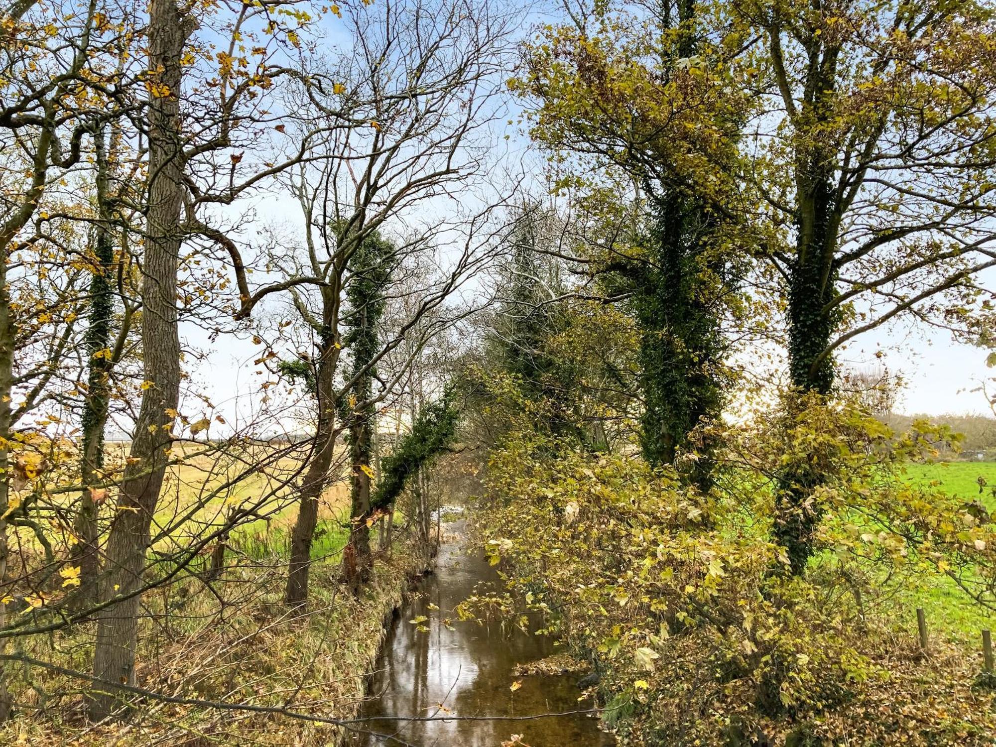 Sycamore Cottage - Uk45923 バラター エクステリア 写真