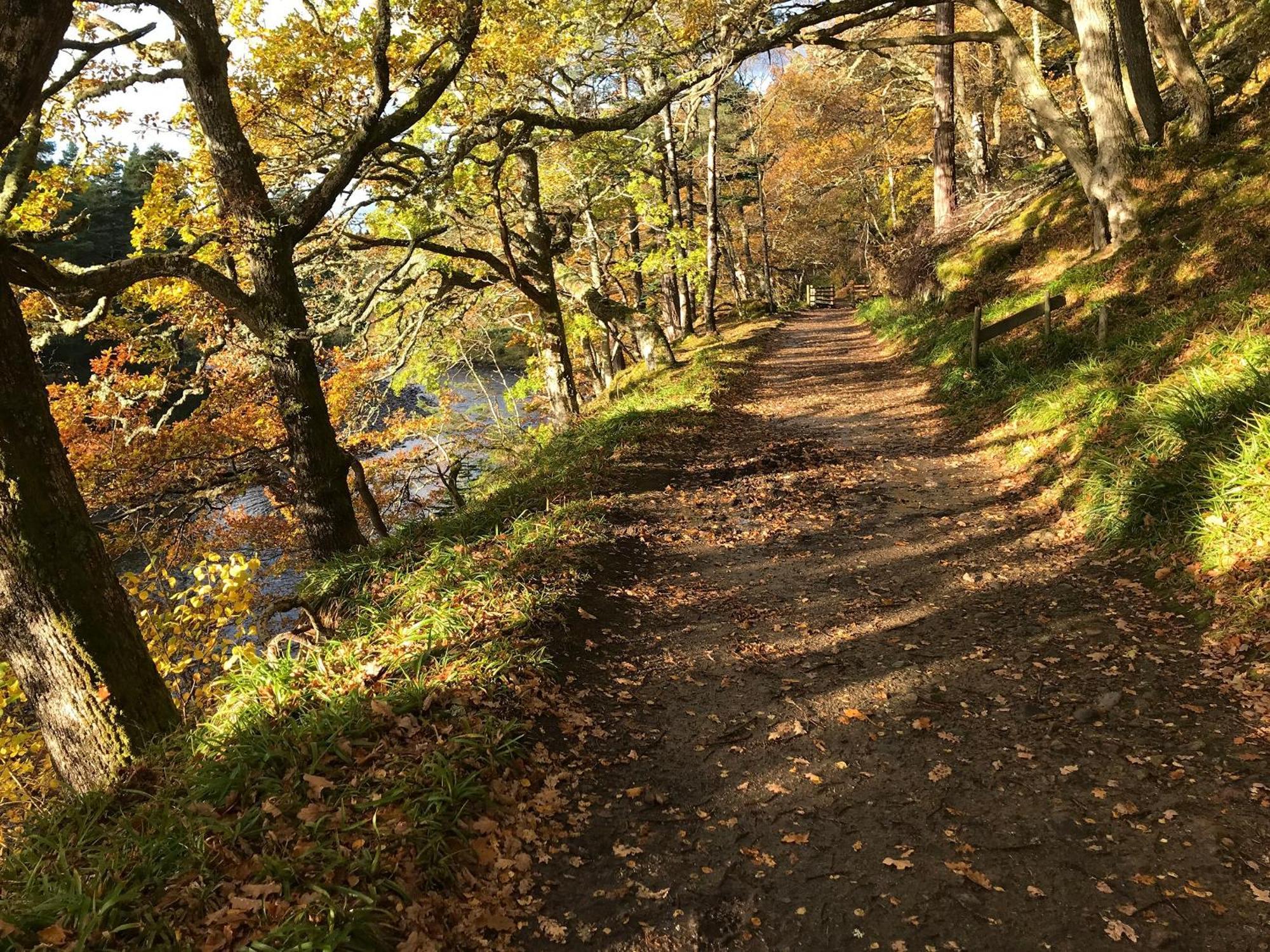 Sycamore Cottage - Uk45923 バラター エクステリア 写真